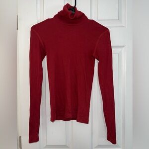 Everlane Turtleneck